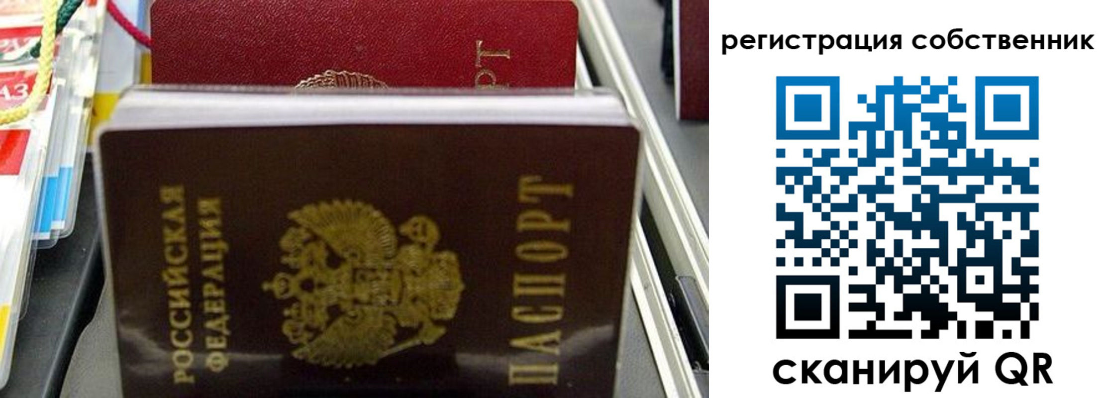 временная регистрация поиск в Полярном